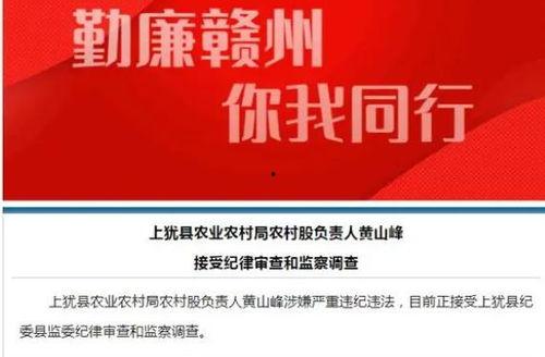 爆料违法乱纪的新闻,某部门官员涉嫌违法乱纪，引发社会广泛关注  第2张