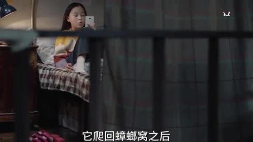 小孩爆料秘密视频,小孩意外曝光家庭秘密视频  第1张