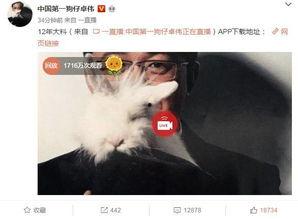 天真爆料视频大全在线观看,视频大全在线观看精彩瞬间 第2张 天真爆料视频大全在线观看,视频大全在线观看精彩瞬间 第2张